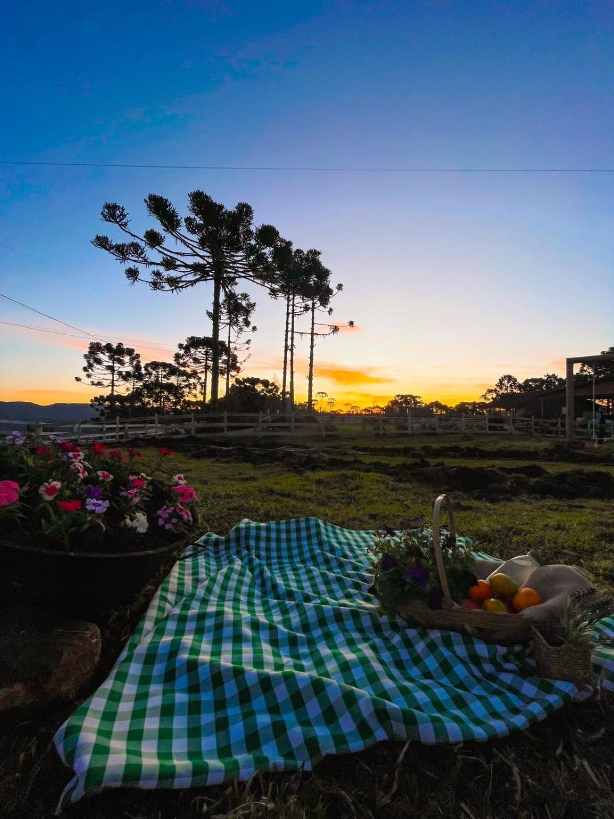 Villa Platto Da Neve:Jacuzzi E Lareira Em Urubici Rg2775 Exterior foto